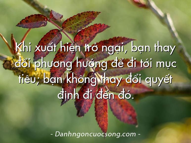 Khi xuất hiện trở ngại, bạn thay đổi phương hướng để đi tới mục tiêu; bạn không thay đổi quyết định đi đến đó.
