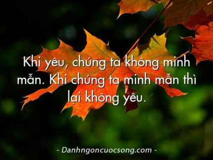 Khi yêu, chúng ta không minh mẫn. Khi chúng ta minh mẫn thì lại không yêu.