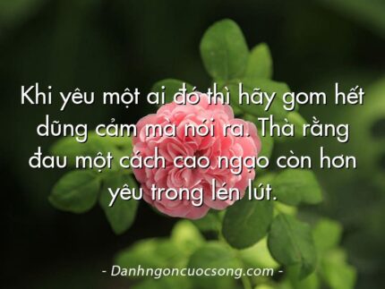 Khi yêu một ai đó thì hãy gom hết dũng cảm mà nói ra. Thà rằng đau một cách cao ngạo còn hơn yêu trong lén lút.