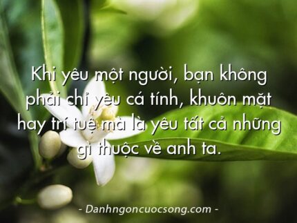Khi yêu một người, bạn không phải chỉ yêu cá tính, khuôn mặt hay trí tuệ mà là yêu tất cả những gì thuộc về anh ta.