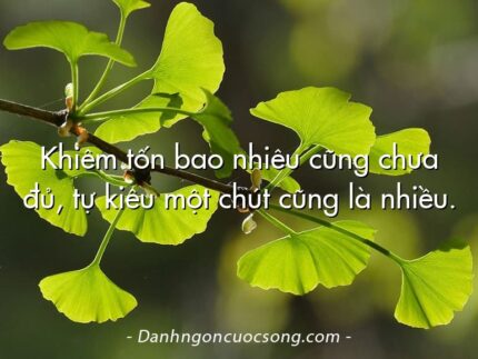 Khiêm tốn bao nhiêu cũng chưa đủ, tự kiêu một chút cũng là nhiều.