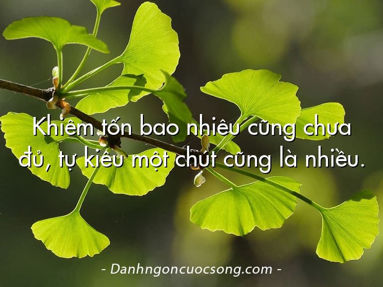 Khiêm tốn bao nhiêu cũng chưa đủ, tự kiêu một chút cũng là nhiều.