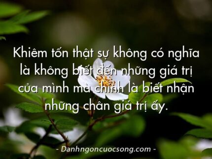 Khiêm tốn thật sự không có nghĩa là không biết đến những giá trị của mình mà chính là biết nhận những chân giá trị ấy.