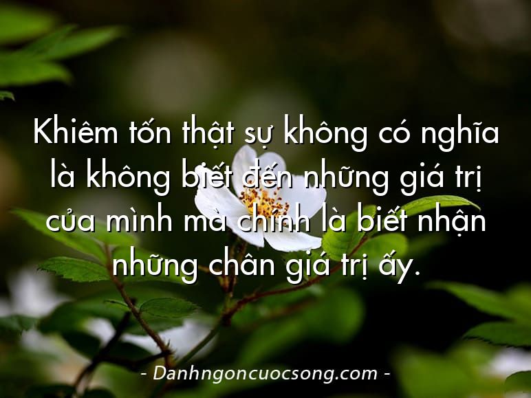 Khiêm tốn thật sự không có nghĩa là không biết đến những giá trị của mình mà chính là biết nhận những chân giá trị ấy.