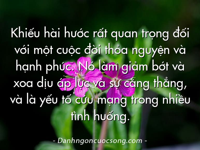Khiếu hài hước rất quan trọng đối với một cuộc đời thỏa nguyện và hạnh phúc. Nó làm giảm bớt và xoa dịu áp lực và sự căng thẳng, và là yếu tố cứu mạng trong nhiều tình huống.