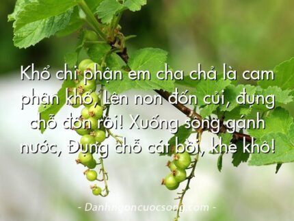 Khổ chi phận em cha chả là cam phận khổ, Lên non đốn củi, đụng chỗ đốn rồi! Xuống sông gánh nước, Đụng chỗ cát bồi, khe khô!
