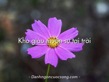 Khó giàu muôn sự tại trời