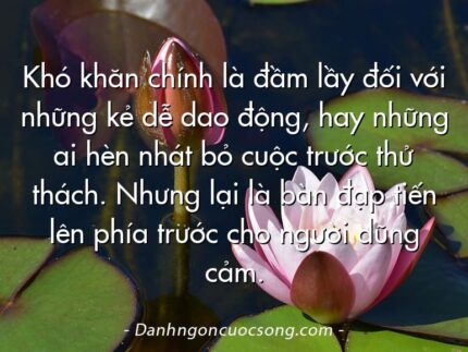 Khó khăn chính là đầm lầy đối với những kẻ dễ dao động, hay những ai hèn nhát bỏ cuộc trước thử thách. Nhưng lại là bàn đạp tiến lên phía trước cho người dũng cảm.
