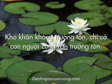 Khó khăn không trường tồn, chỉ có con người cứng rắn trường tồn.