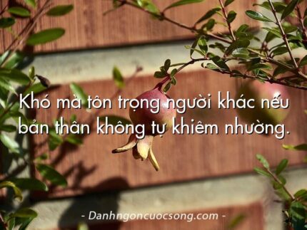 Khó mà tôn trọng người khác nếu bản thân không tự khiêm nhường.