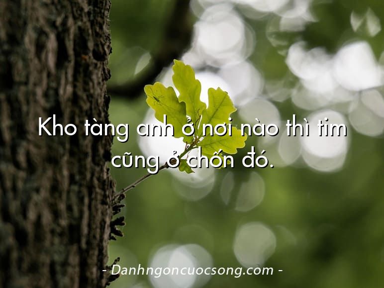 Kho tàng anh ở nơi nào thì tim cũng ở chốn đó.
