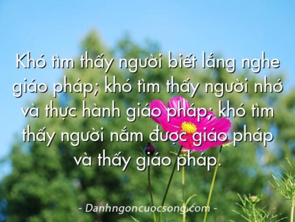 Khó tìm thấy người biết lắng nghe giáo pháp; khó tìm thấy người nhớ và thực hành giáo pháp; khó tìm thấy người nắm được giáo pháp và thấy giáo pháp.