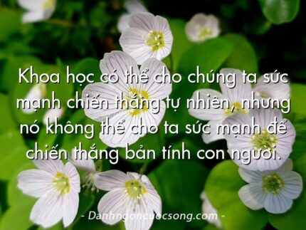 Khoa học có thể cho chúng ta sức mạnh chiến thắng tự nhiên, nhưng nó không thể cho ta sức mạnh để chiến thắng bản tính con người.