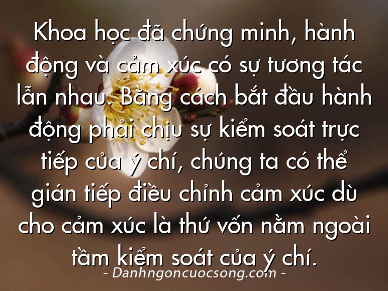 Khoa học đã chứng minh, hành động và cảm xúc có sự tương tác lẫn nhau. Bằng cách bắt đầu hành động phải chịu sự kiểm soát trực tiếp của ý chí, chúng ta có thể gián tiếp điều chỉnh cảm xúc dù cho cảm xúc là thứ vốn nằm ngoài tầm kiểm soát của ý chí.