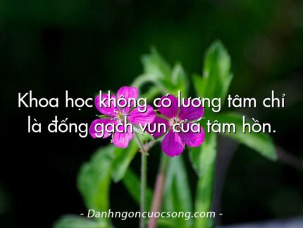 Khoa học không có lương tâm chỉ là đống gạch vụn của tâm hồn.