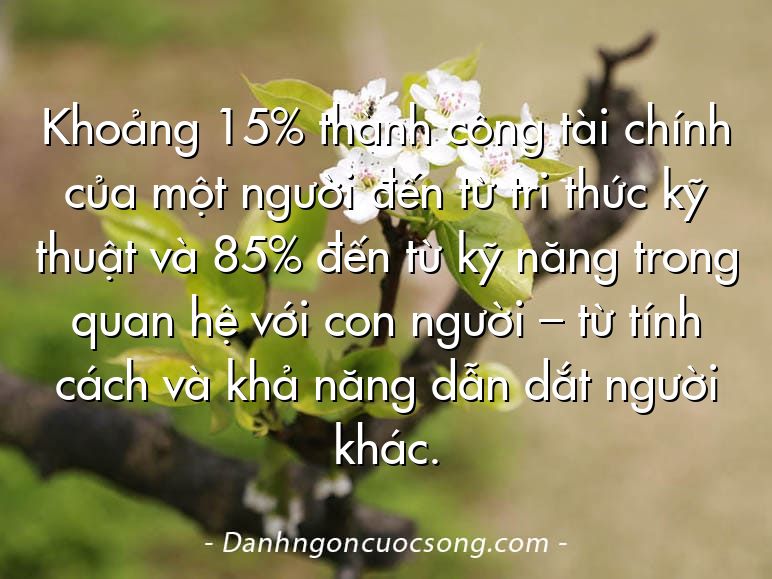 Khoảng 15% thành công tài chính của một người đến từ tri thức kỹ thuật và 85% đến từ kỹ năng trong quan hệ với con người – từ tính cách và khả năng dẫn dắt người khác.