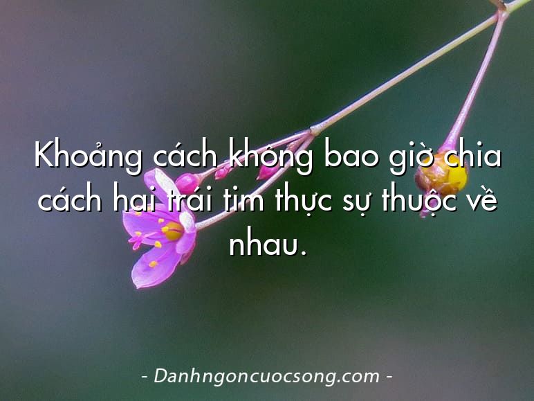 Khoảng cách không bao giờ chia cách hai trái tim thực sự thuộc về nhau.