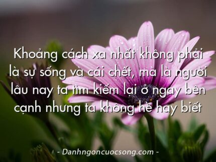 Khoảng cách xa nhất không phải là sự sống và cái chết, mà là người lâu nay ta tìm kiếm lại ở ngay bên cạnh nhưng ta không hề hay biết