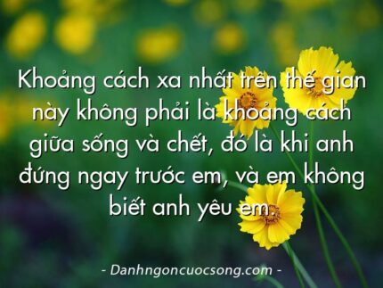 Khoảng cách xa nhất trên thế gian này không phải là khoảng cách giữa sống và chết, đó là khi anh đứng ngay trước em, và em không biết anh yêu em.