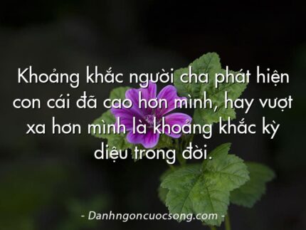 Khoảng khắc người cha phát hiện con cái đã cao hơn mình, hay vượt xa hơn mình là khoảng khắc kỳ diệu trong đời.