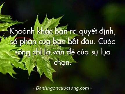 Khoảnh khắc bạn ra quyết định, số phận của bạn bắt đầu. Cuộc sống chỉ là vấn đề của sự lựa chọn.