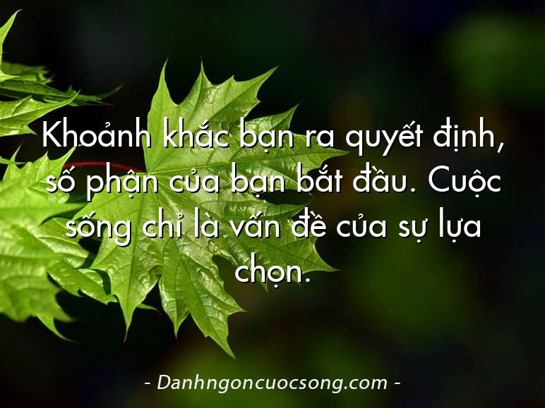Khoảnh khắc bạn ra quyết định, số phận của bạn bắt đầu. Cuộc sống chỉ là vấn đề của sự lựa chọn.