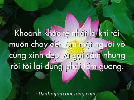Khoảnh khắc tệ nhất là khi tôi muốn chạy đến ôm một người vô cùng xinh đẹp và gợi cảm nhưng rồi tôi lại đụng phải tấm gương.