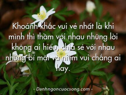 Khoảnh khắc vui vẻ nhất là khi mình thì thầm với nhau những lời không ai hiểu, chia sẻ với nhau những bí mật và niềm vui chẳng ai hay.