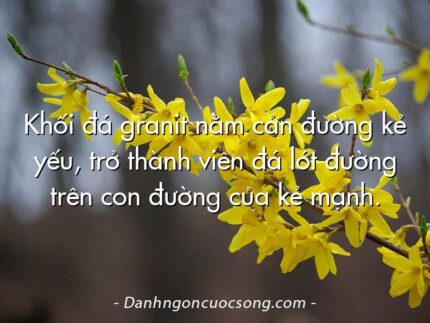 Khối đá granit nằm cản đường kẻ yếu, trở thành viên đá lót đường trên con đường của kẻ mạnh.