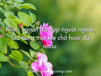 Khôn ngoan đá đáp người ngoài, Gà cùng một mẹ chớ hoài đá nhau.