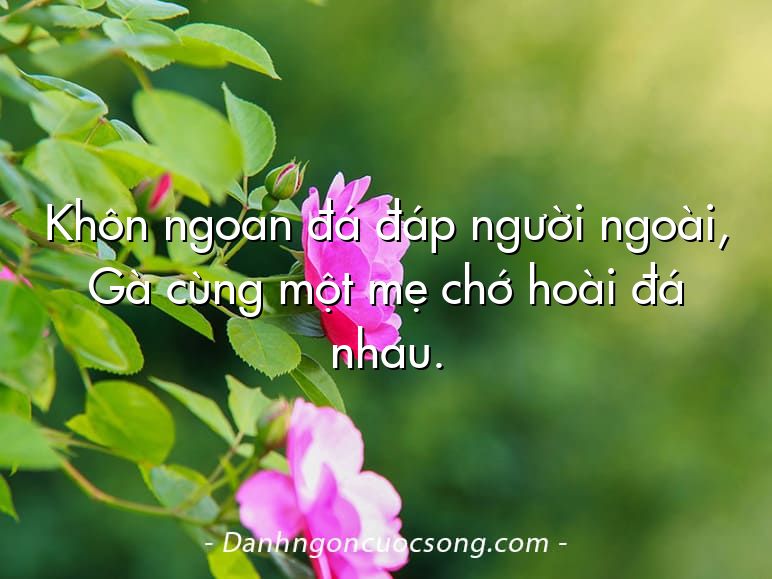 Khôn ngoan đá đáp người ngoài, Gà cùng một mẹ chớ hoài đá nhau.