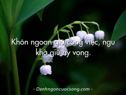 Khôn ngoan giữ công việc, ngu khờ giữ hy vọng.