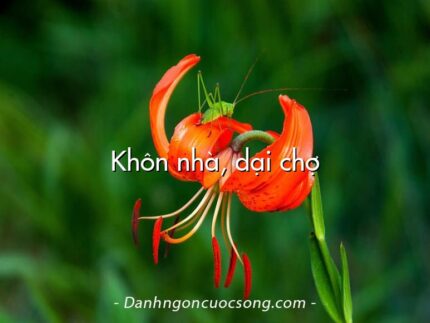 Khôn nhà, dại chợ