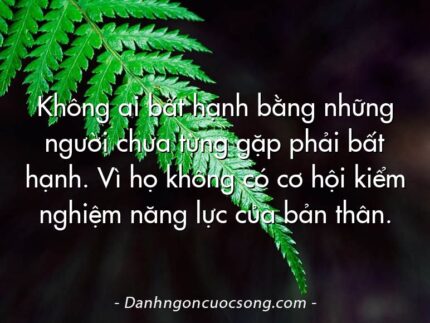 Không ai bất hạnh bằng những người chưa từng gặp phải bất hạnh. Vì họ không có cơ hội kiểm nghiệm năng lực của bản thân.