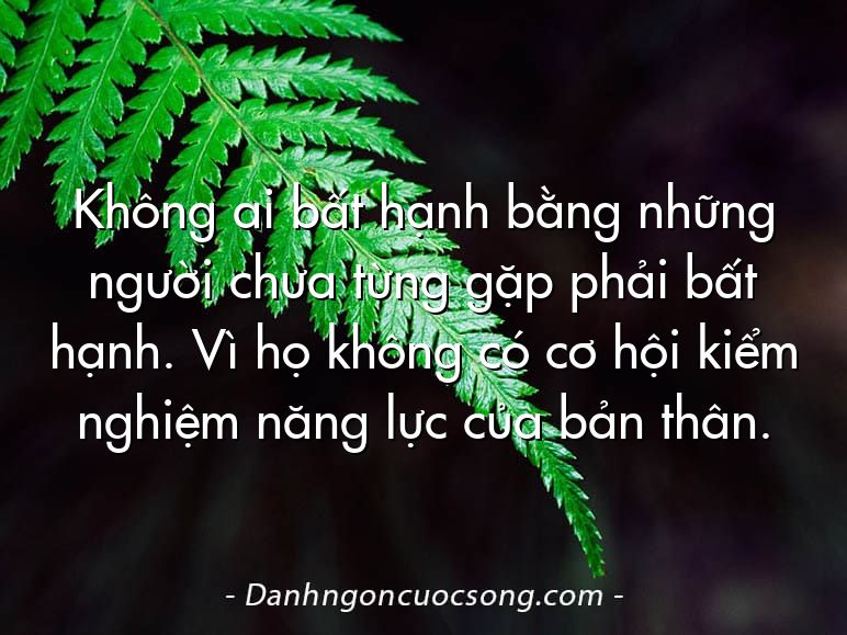 Không ai bất hạnh bằng những người chưa từng gặp phải bất hạnh. Vì họ không có cơ hội kiểm nghiệm năng lực của bản thân.