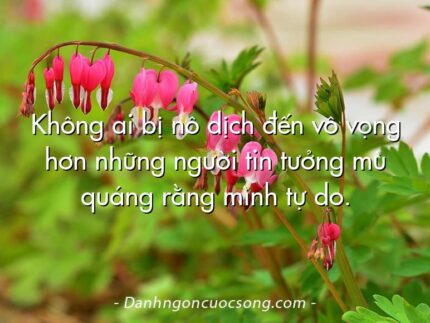 Không ai bị nô dịch đến vô vọng hơn những người tin tưởng mù quáng rằng mình tự do.