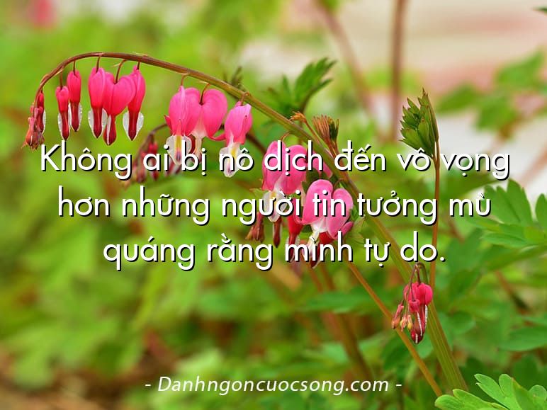 Không ai bị nô dịch đến vô vọng hơn những người tin tưởng mù quáng rằng mình tự do.