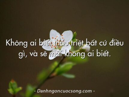 Không ai biết thấu triệt bất cứ điều gì, và sẽ mãi không ai biết.