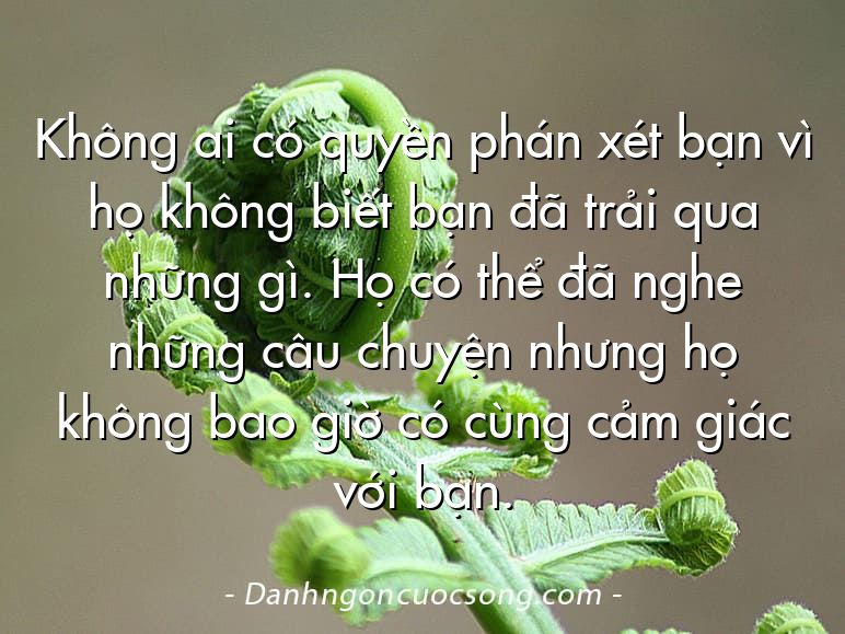 Không ai có quyền phán xét bạn vì họ không biết bạn đã trải qua những gì. Họ có thể đã nghe những câu chuyện nhưng họ không bao giờ có cùng cảm giác với bạn.