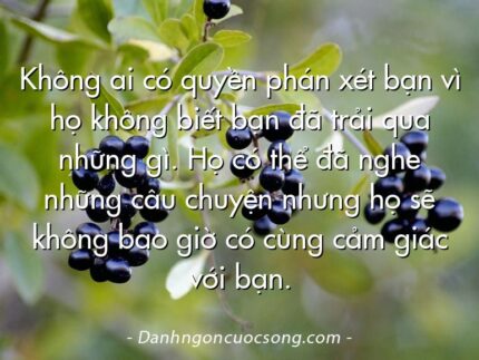Không ai có quyền phán xét bạn vì họ không biết bạn đã trải qua những gì. Họ có thể đã nghe những câu chuyện nhưng họ sẽ không bao giờ có cùng cảm giác với bạn.