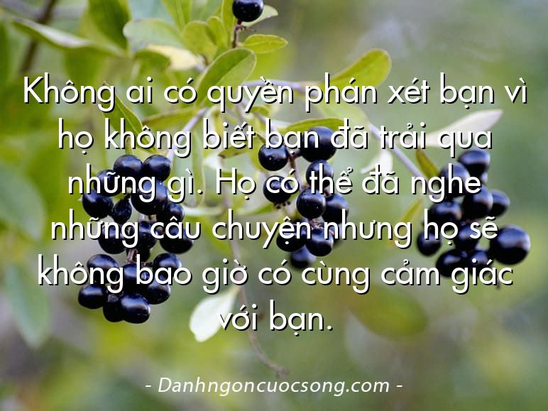 Không ai có quyền phán xét bạn vì họ không biết bạn đã trải qua những gì. Họ có thể đã nghe những câu chuyện nhưng họ sẽ không bao giờ có cùng cảm giác với bạn.