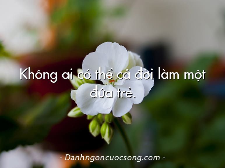 Không ai có thể cả đời làm một đứa trẻ.