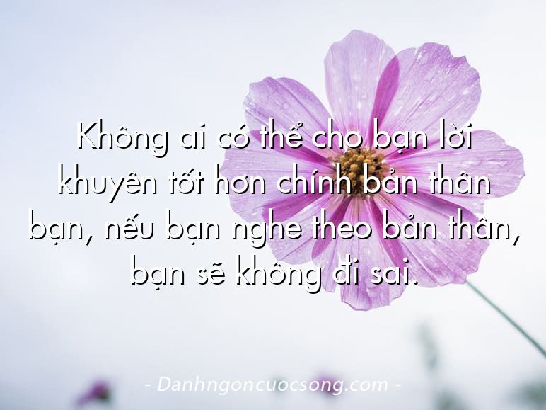 Không ai có thể cho bạn lời khuyên tốt hơn chính bản thân bạn, nếu bạn nghe theo bản thân, bạn sẽ không đi sai.