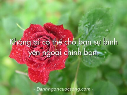 Không ai có thể cho bạn sự bình yên ngoài chính bạn.
