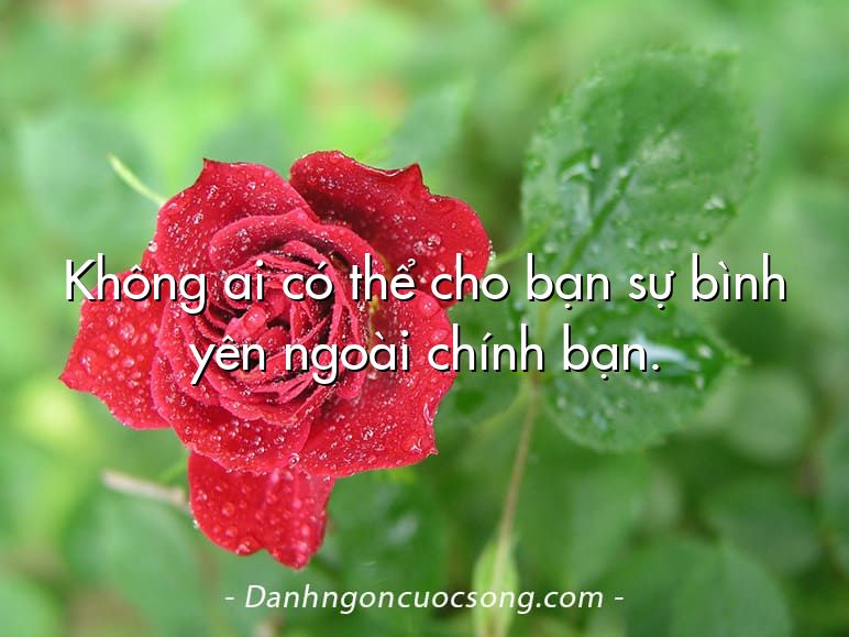 Không ai có thể cho bạn sự bình yên ngoài chính bạn.