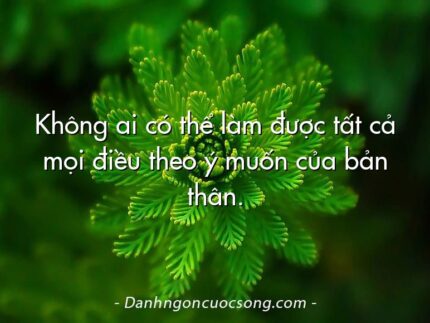 Không ai có thể làm được tất cả mọi điều theo ý muốn của bản thân.