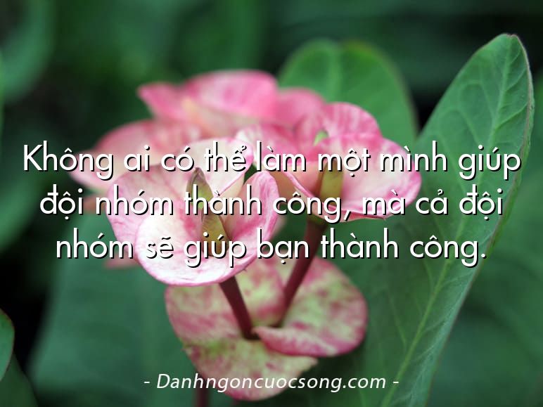 Không ai có thể làm một mình giúp đội nhóm thành công, mà cả đội nhóm sẽ giúp bạn thành công.