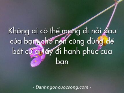 Không ai có thể mang đi nỗi đau của bạn, cho nên cũng đừng để bất cứ ai lấy đi hạnh phúc của bạn