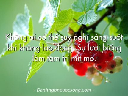 Không ai có thể suy nghĩ sáng suốt khi không lao động. Sự lười biếng làm tâm trí mịt mờ.