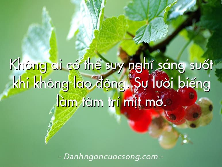 Không ai có thể suy nghĩ sáng suốt khi không lao động. Sự lười biếng làm tâm trí mịt mờ.